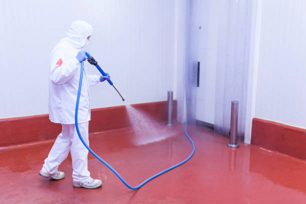 Best Spring Cleaning  in Mount Hermon, VA